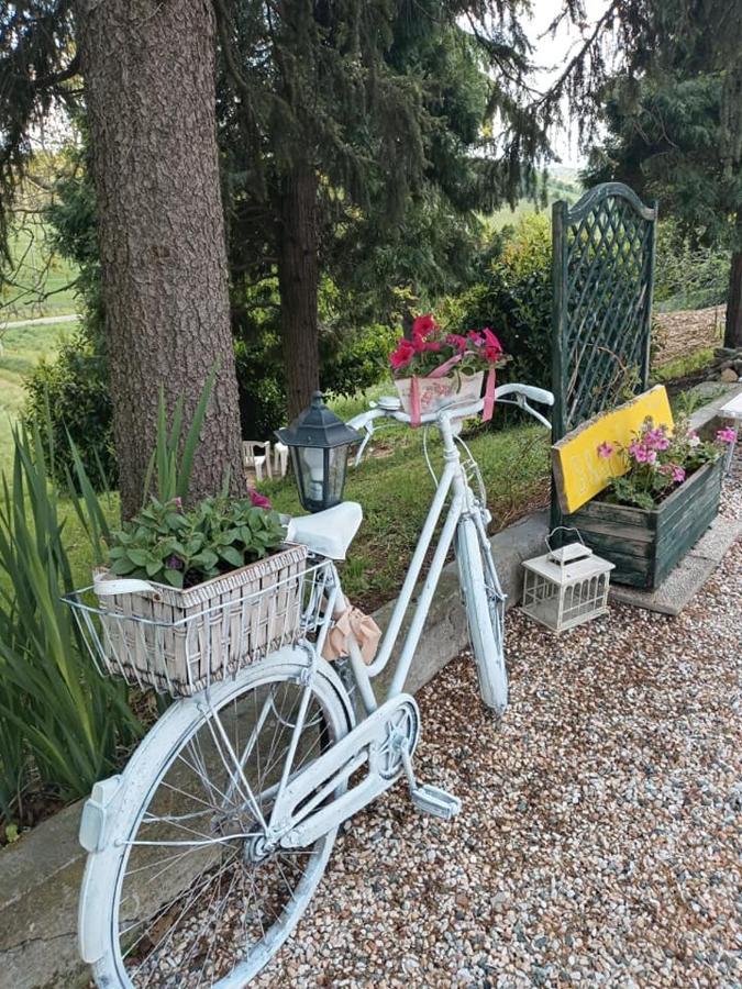 Bb Lady Bed and Breakfast Castelvetro di Modena Eksteriør billede