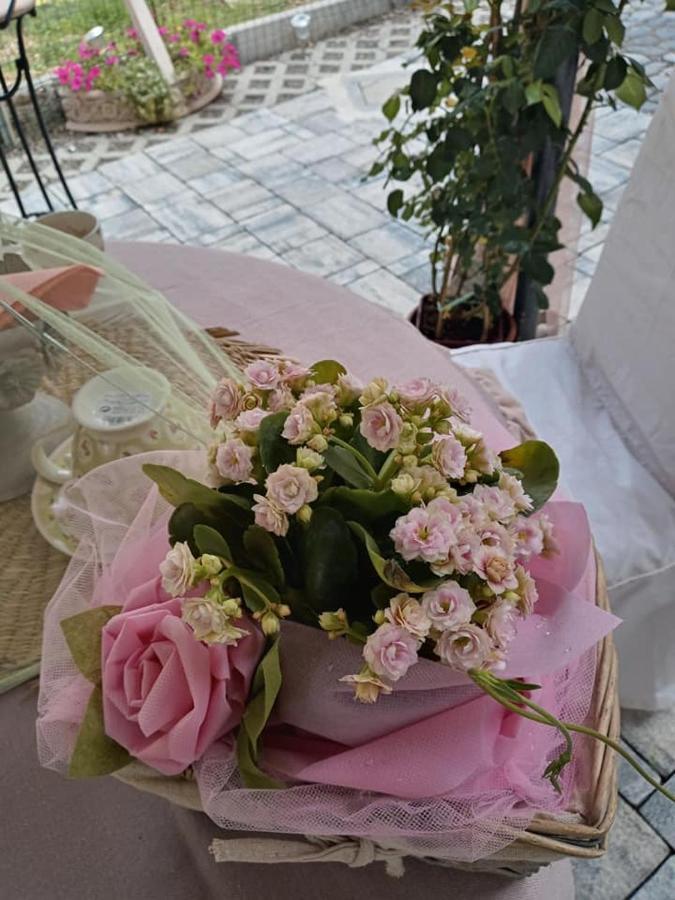 Bb Lady Bed and Breakfast Castelvetro di Modena Eksteriør billede